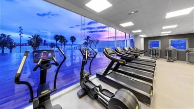 A vibrant open gym space designed for limitless movement and dynamic fitness activities.